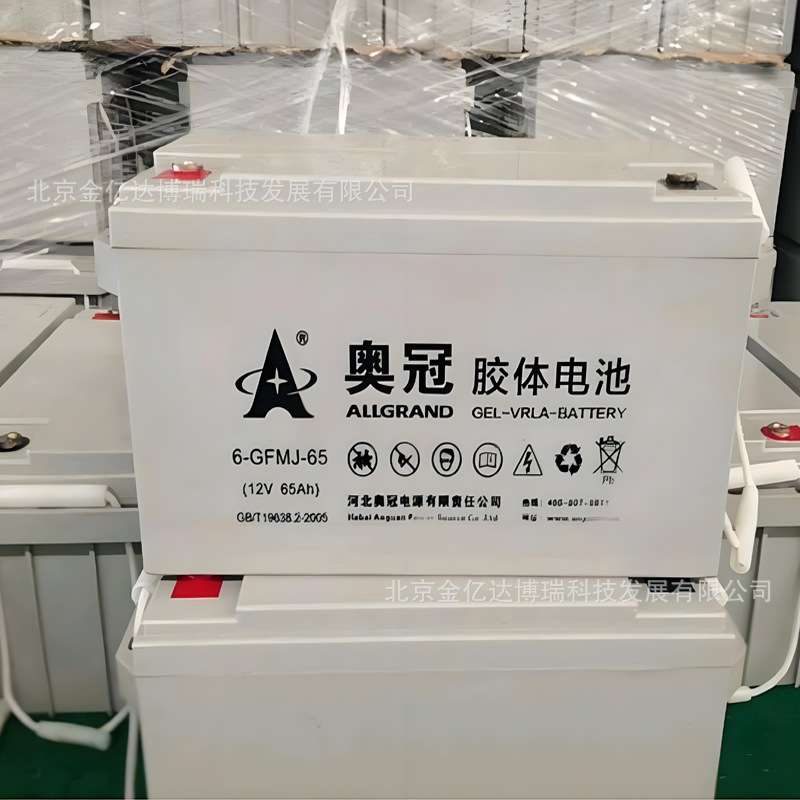 12V胶体蓄电池6-CNFJ-100奥冠12V100AH太阳能风能路灯交通监控