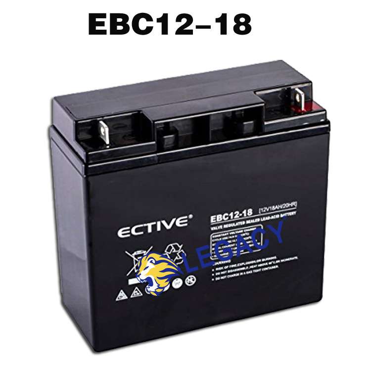 德国ECTIVE蓄电池 EBC12-20 备用电源 12V20AH 移动设备电池