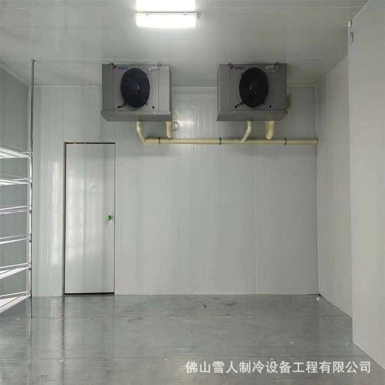 佛山厂家饮料鲜花冷库商用设备冷藏冷冻小型移动后补式疫苗冷藏柜