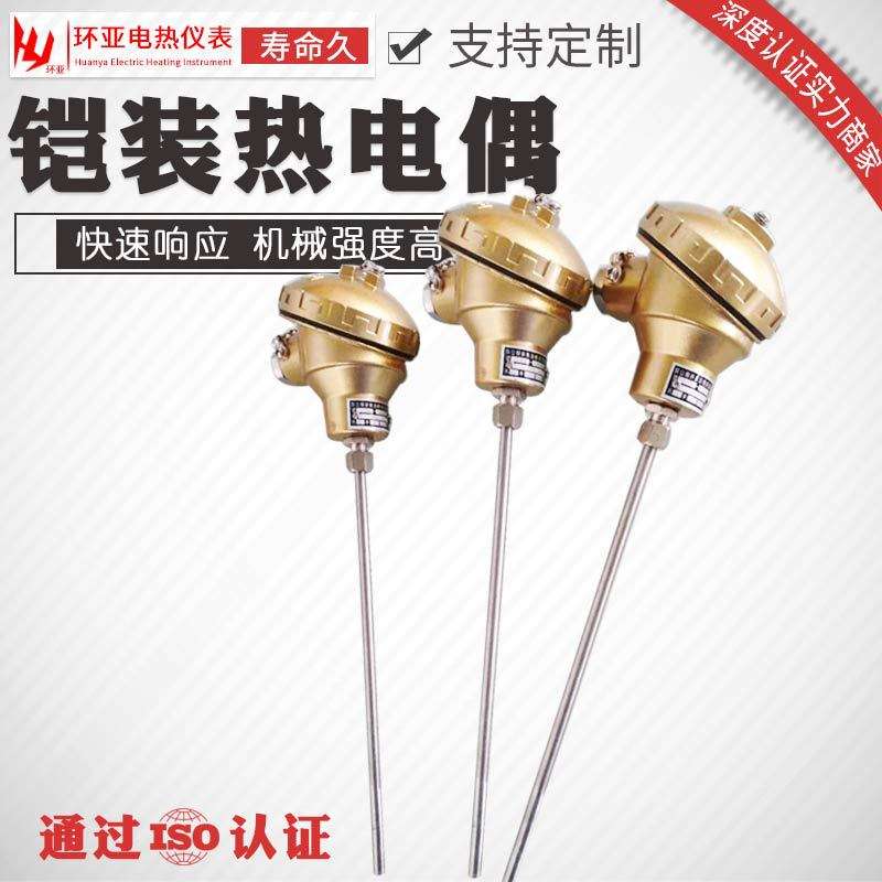 工厂 热电偶 耐高温K型热电偶 铠装热电偶WRNK-131231江苏环亚