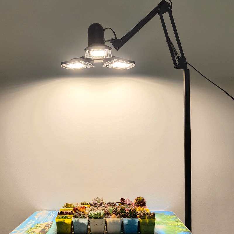 植物生长灯光源led全光谱多肉灯种植灯家用上色防徒植物补光灯架