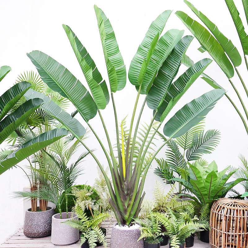 室内大型仿真天堂鸟植物假芭蕉树橱窗落地装饰热带绿植香蕉树盆景