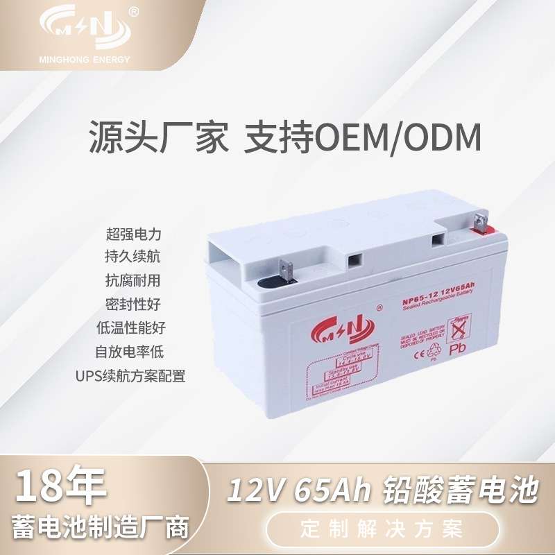 12V65Ah铅酸蓄电池备用电源AGM蓄电池太阳能储能免维护铅酸电池