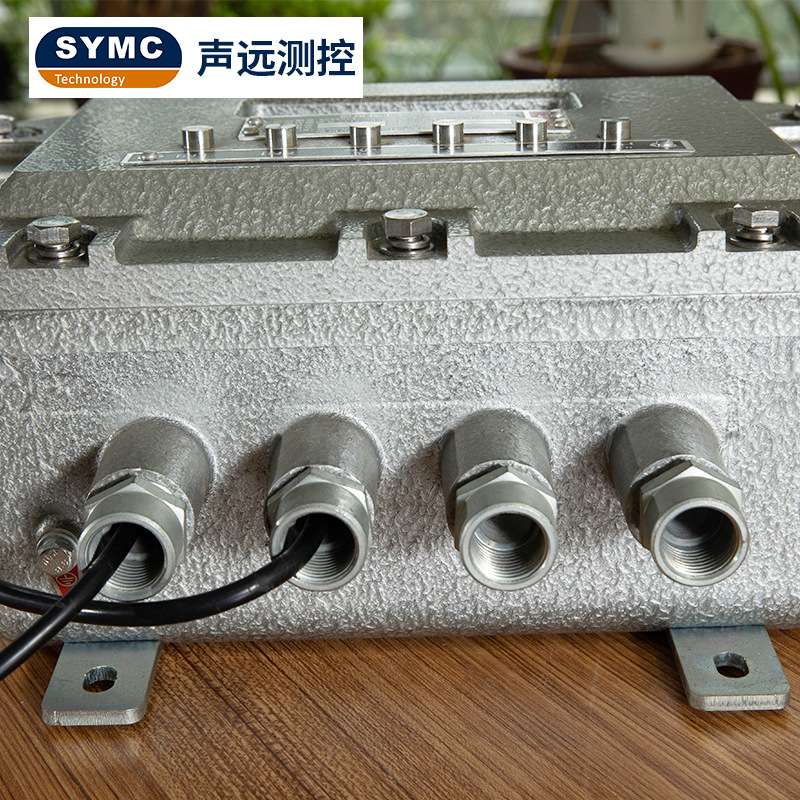 声远测控 BC580LX防爆称重显示器 化工厂危险场所 隔爆型控制仪表