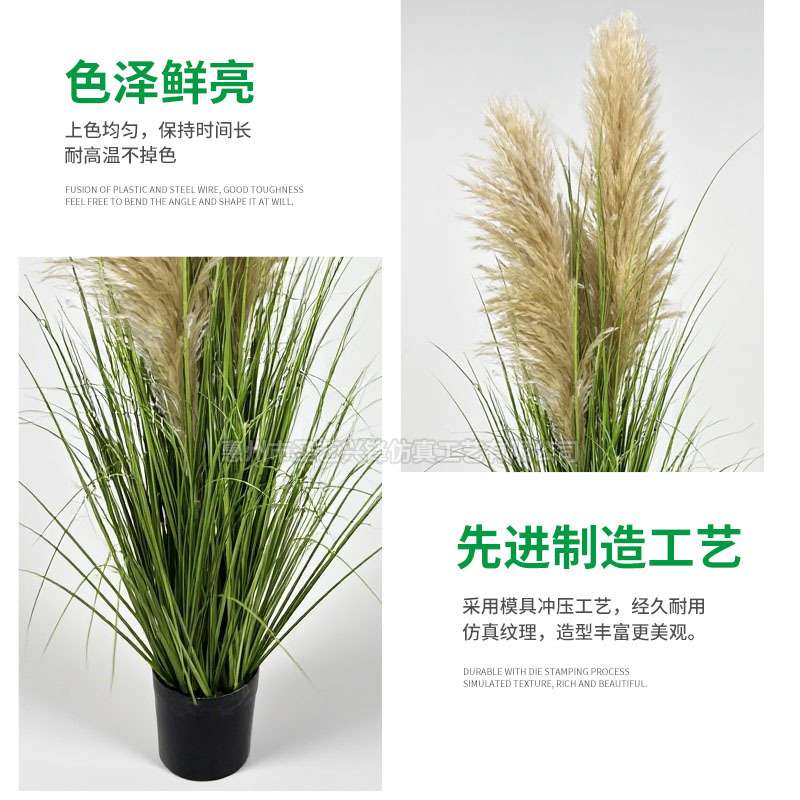 跨境仿真植物假绿植造景 人造洋葱草仿真盆栽 真芦苇头潘帕斯草