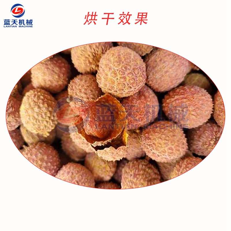 小型荔枝龙眼烘干机 智能控温干龙眼烘干箱 全自动桂圆烘干机设备