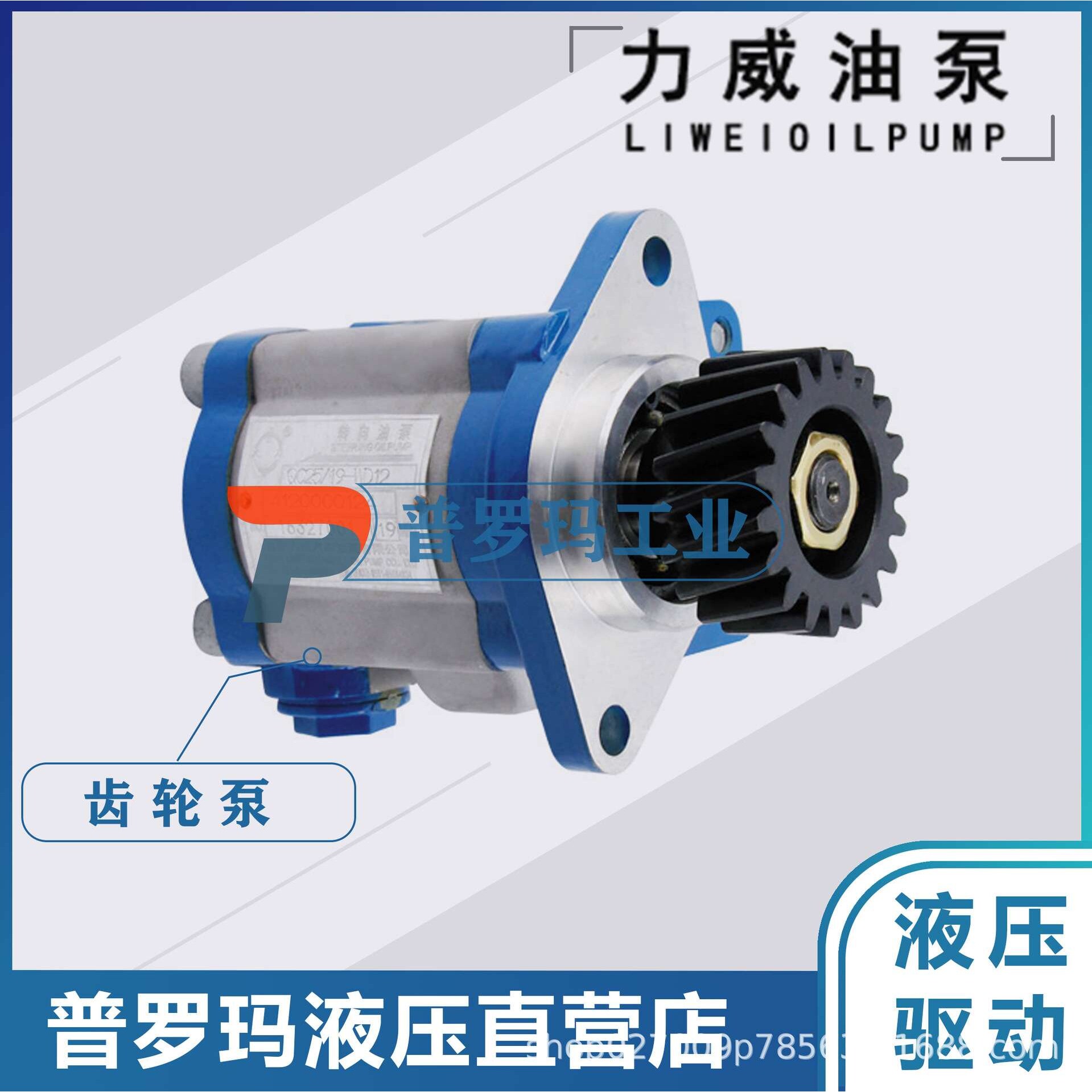 合肥力威汽车转向油泵 中联重科吊车液压助力泵 QC20/15-WP10-ZL