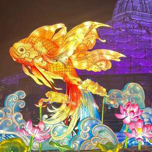 年年有余大型花灯新年2025节日锦鲤造型主题大型春节花灯彩灯厂家