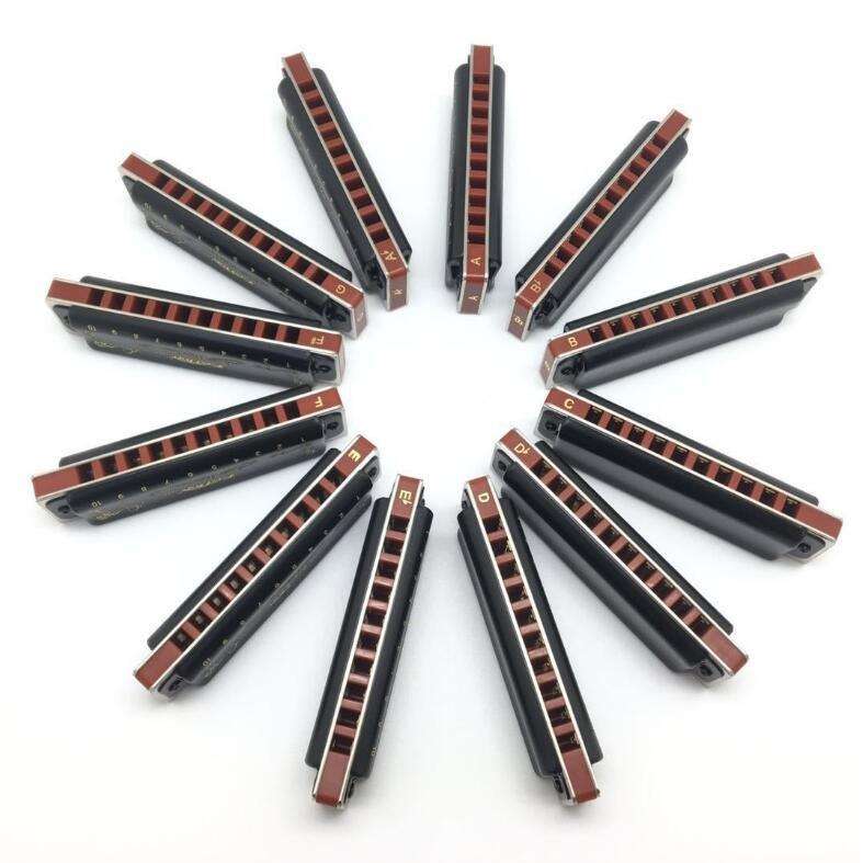 东方鼎easttop T008K十孔蓝调布鲁斯口琴初学7调/12调套装