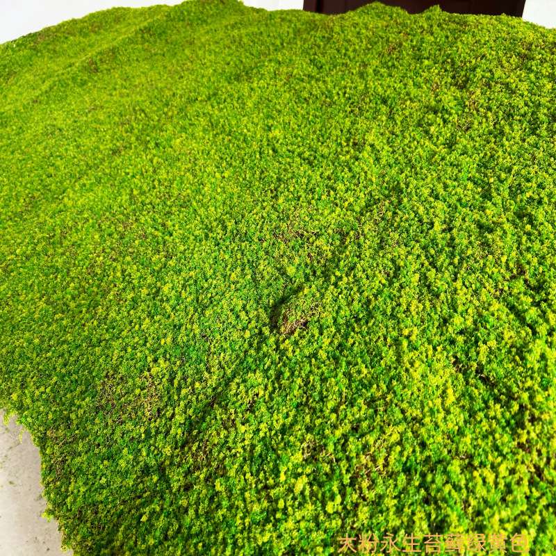 仿真苔藓植物地毯青苔草皮软装造景草坪花园庭院景观室内外铺面