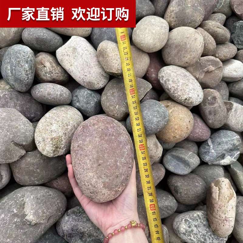 天然鹅卵石河滩石大块鹅卵石石头溪流河湜石头变压用庭院景观石