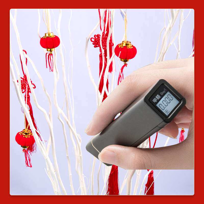 中国红春节喜庆干花白龙柳组合套装新居搬家布置干花龙柳