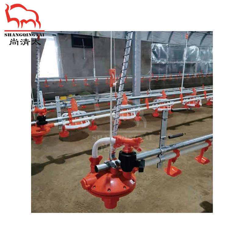 家禽自动饮水系统 鸡鸭鹅禽舍水线系统 地养家禽喝水设备 畜牧