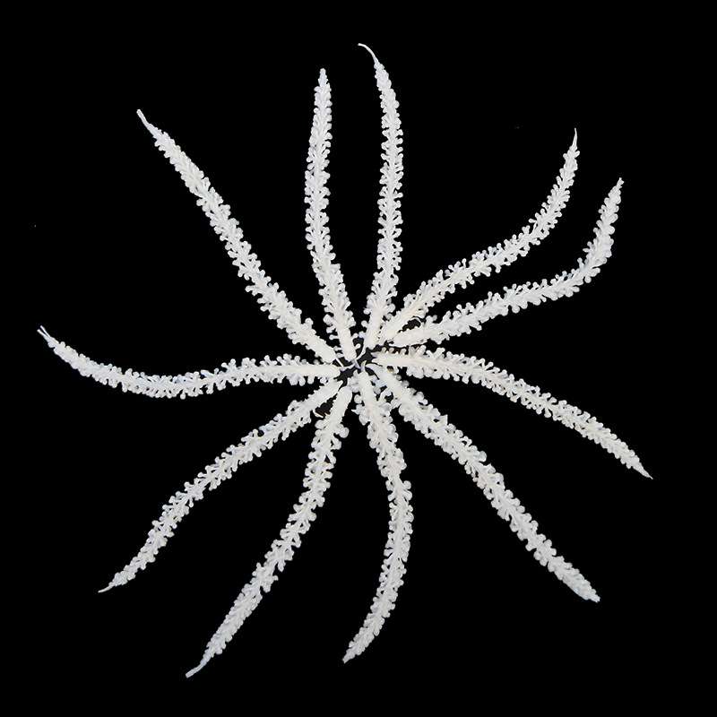 植物塑料水族草墙盆栽花盆成品插花小配件藤蔓家居装扮绿植仿真花