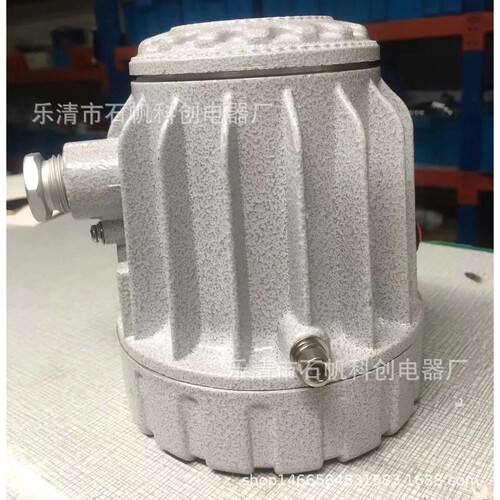 BAK51 立式防爆视孔灯 20W带延时开关