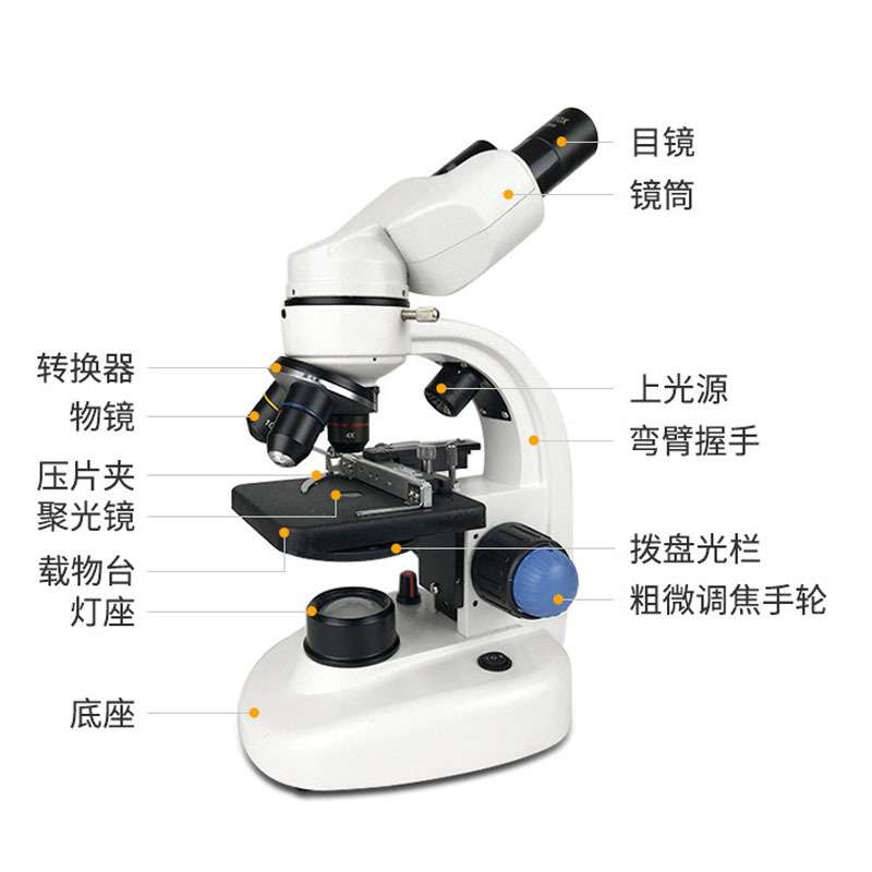 1000倍115RT双目广角显微镜高清高倍带灯源畜牧水产养殖看精子