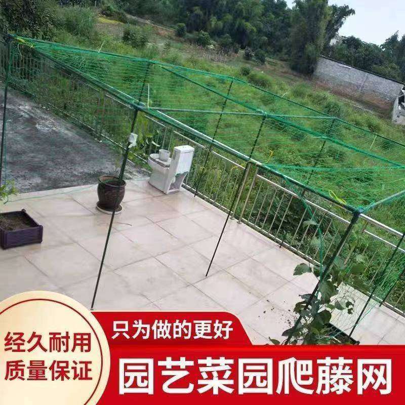 爬藤网加粗瓜果蔬菜种植攀爬网花卉藤蔓攀援网园艺农用网庭院搭架