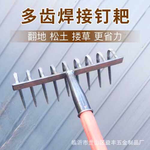九齿大弯耙 楼草
