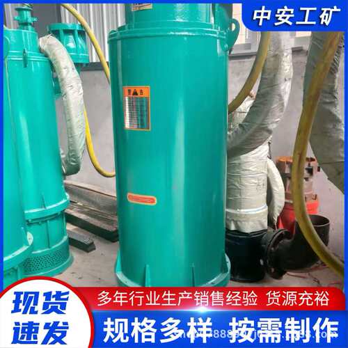 隔爆型排沙电泵 移动方便耐磨 BQS50-240/6-75/B 排污泵