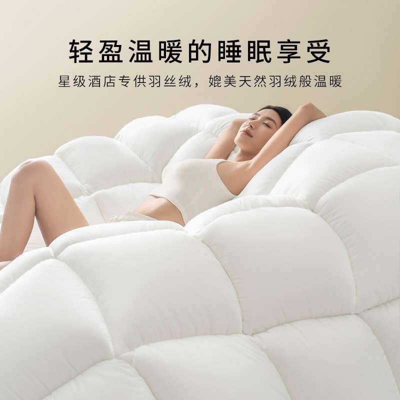 羽丝绒被子被芯加厚保暖防寒家用春秋被冬被四季通用酒店被子民宿