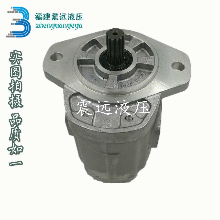 恒溢叉车配件 现代 汉拿叉车齿轮油泵CBF-F432-ALH长轴L