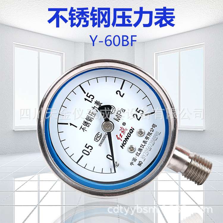 红旗表不锈钢压力表Y-60BF水压表0~60MPA316材质禁油表径向压力表
