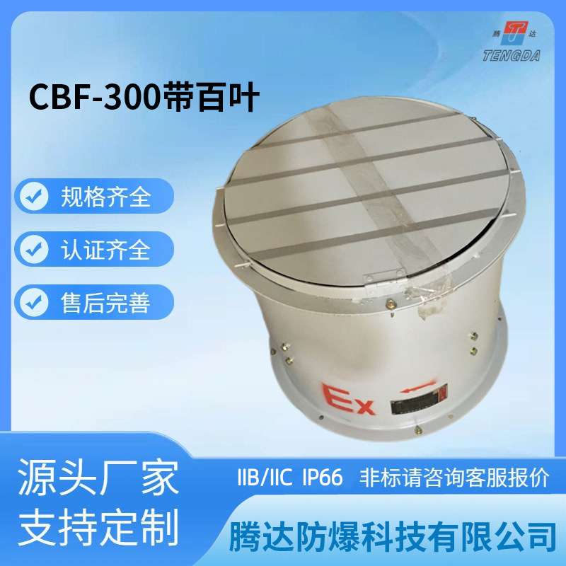 管通固定式防爆轴流风机380V低噪音风机IIBT4抽风送风机厂家现货