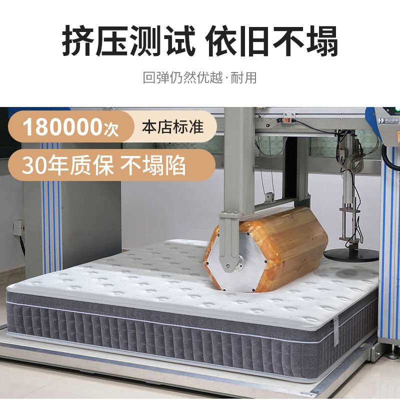 席梦思五星级酒店专用床垫乳胶软垫冬季家用卧室记忆棉弹簧厚24cm图片