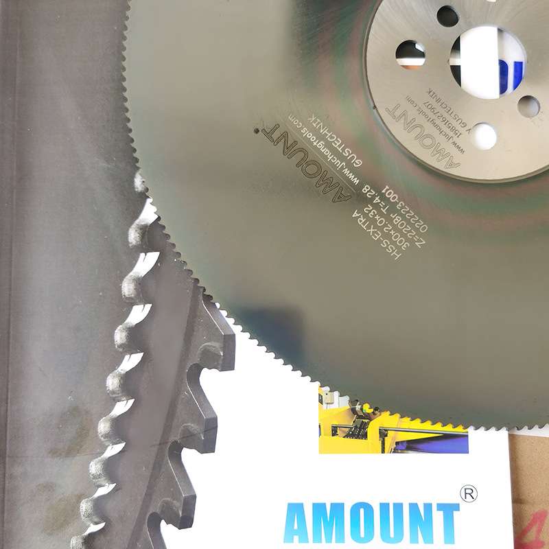 AMOUNT进口锯片飞锯锯片圆锯机用锯片Gustechnik进口冷锯锯片