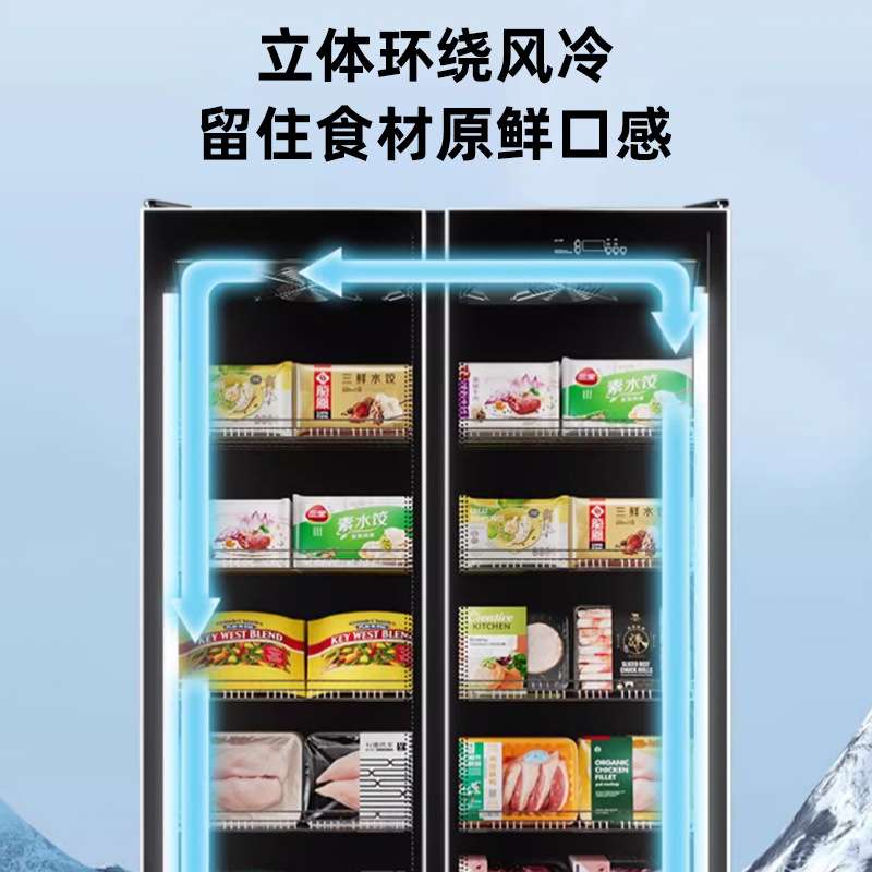 冰柜商用大容量冷藏保温柜家用超市啤酒保鲜双门式省电冷冻柜加工