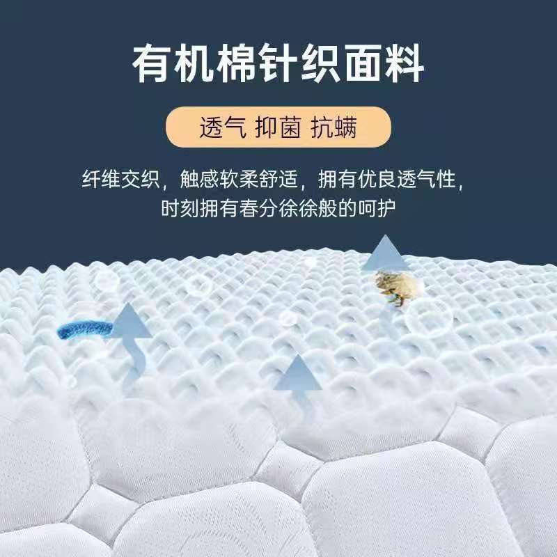 夏季椰棕床垫棕垫1.8m床垫硬垫薄款租房专用儿童棕榈凉适老床垫