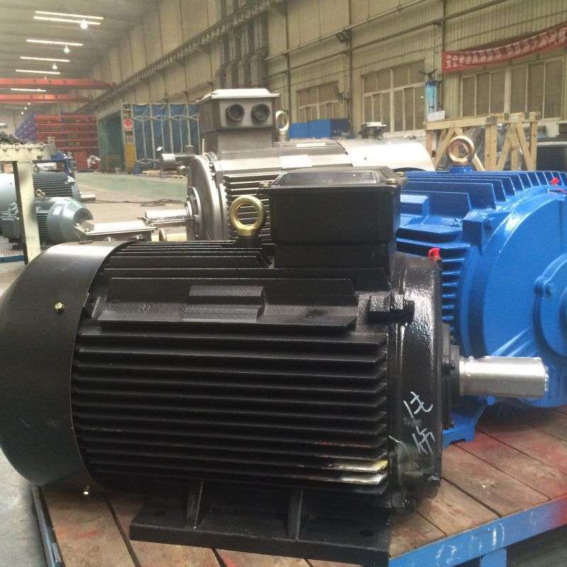 泰富西玛牌YE3-100L2-4 3KW/380V B3 IP55三相异步污水泵用电机