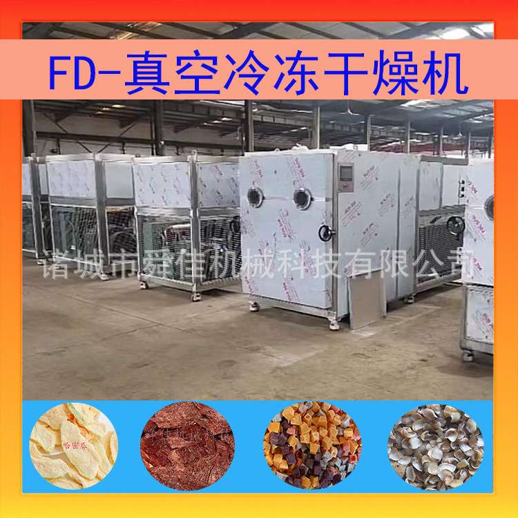 厂家供应真空冷冻烘干机 黑水虻土元低温脱水冻干机 昆虫冻干机