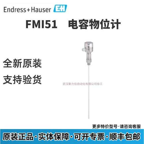 E+H恩德斯豪斯 电容物位计FMI51-A1BGEJB1A1A