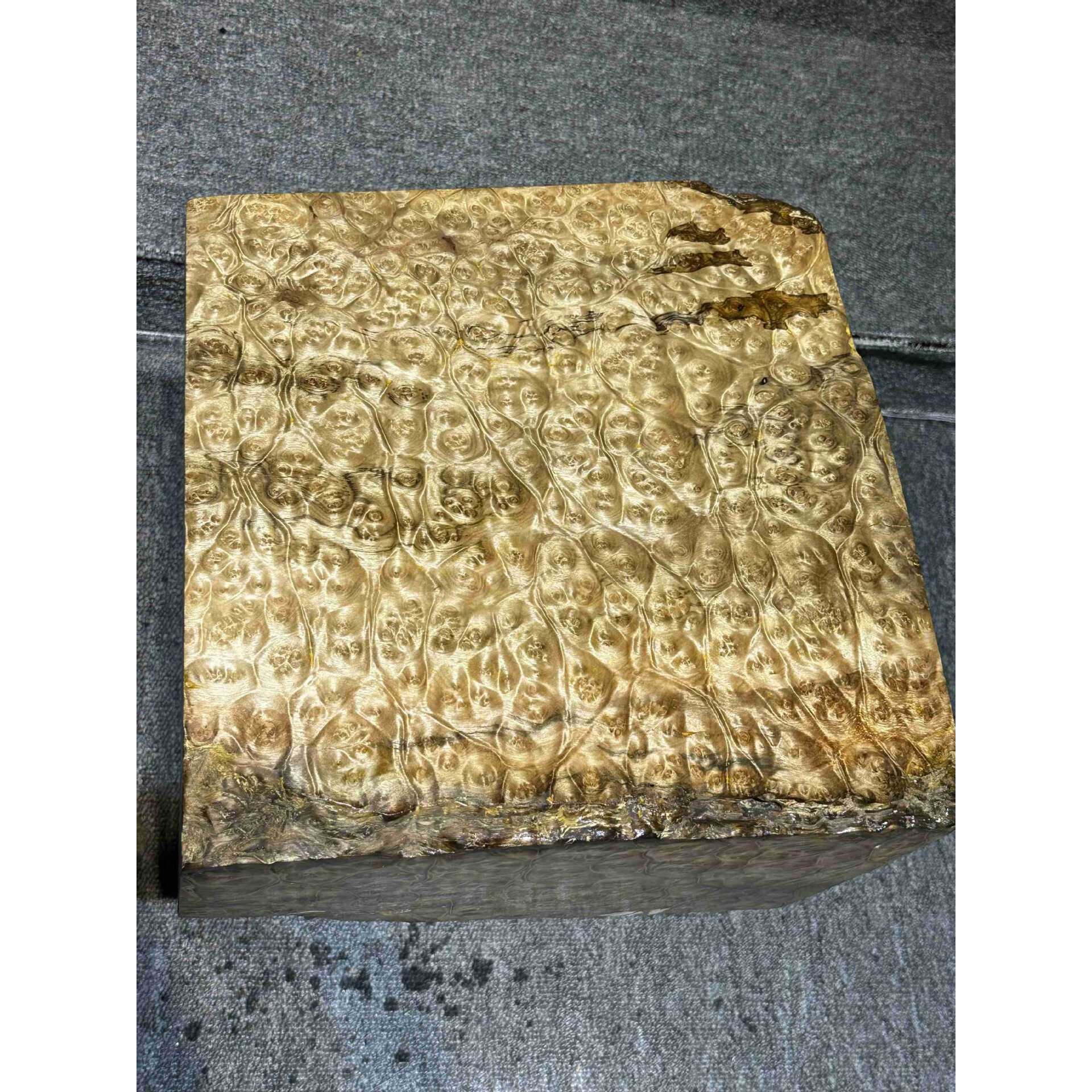 黄金樟木爆满树瘤料 瘿木料 工艺料 木皮料 家具料 茶盘料 桌面料