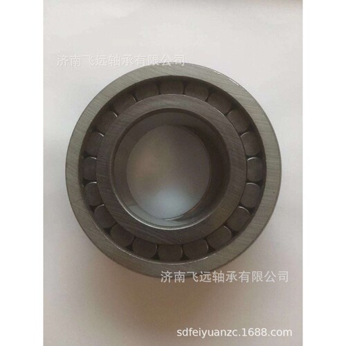 RNNX8 BC1B326312 HS263 F218974 F120720 F212543 RE218932轴承