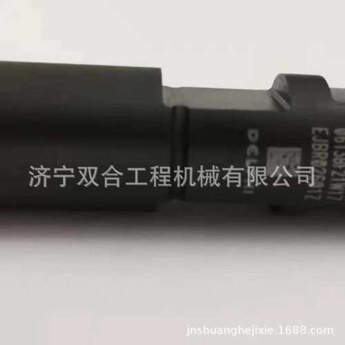 喷油器 EJBR02601Z A6650170121喷油嘴