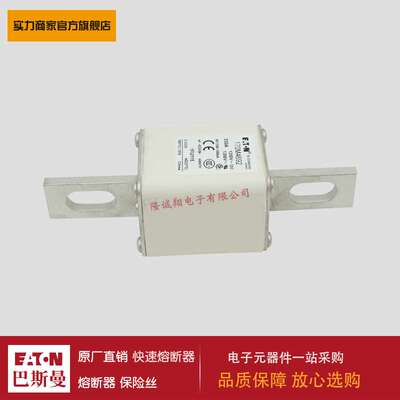 熔断器170M4690 170M4691 170M4692 170M4693 170M4694 170M4695