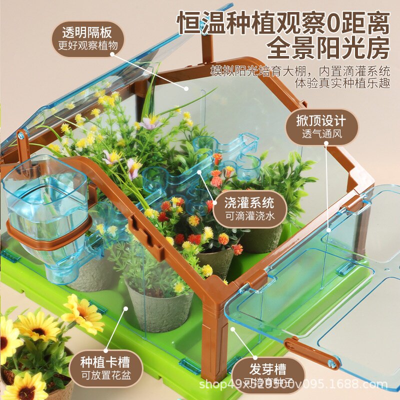 儿童种植阳光房育苗观察套装