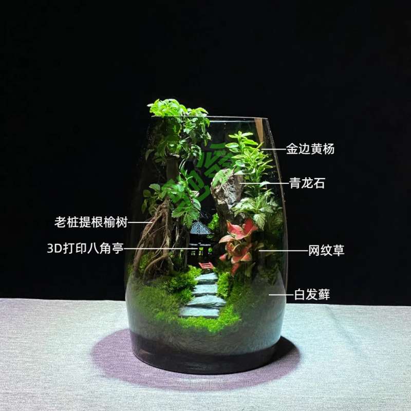 yut万重山创意桌面苔藓植物景观办公室盆景好养绿植生态造景盆栽
