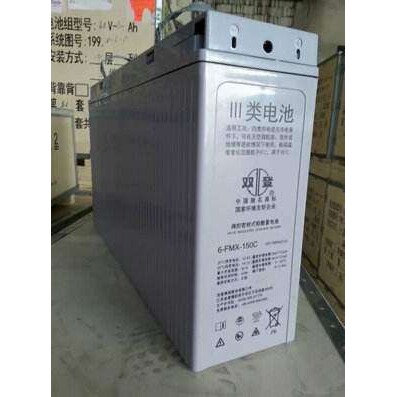 双登狭长蓄电池6-FMX-170 12V170AH通信基站变电站电源电池