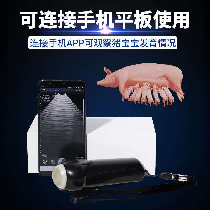 厂家无线猪用B超便携式手机b超机母猪测孕仪妊娠检查仪器畜牧养殖