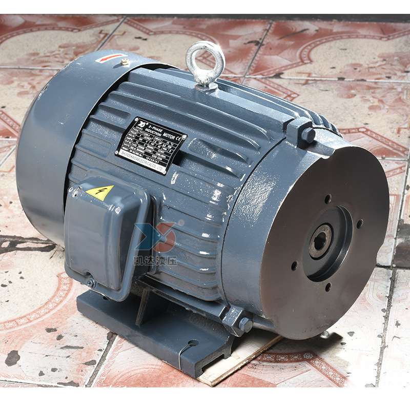 厂家热销液压油泵电机三相异步220V 5.5KW液压站系统电动机