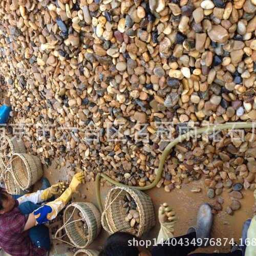鹅卵石混色五彩石园林景观水池垫底天然南京雨花石铺路天台阳台