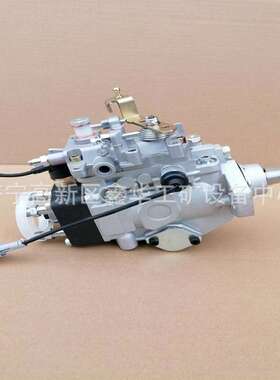 VE6泵总成196000-5090 1960005090  12F1100RND509