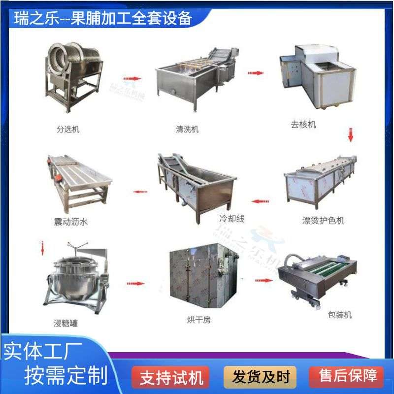 杏脯配套流水线 野杏果脯肉干加工设备 冬枣去核机果脯全套机器