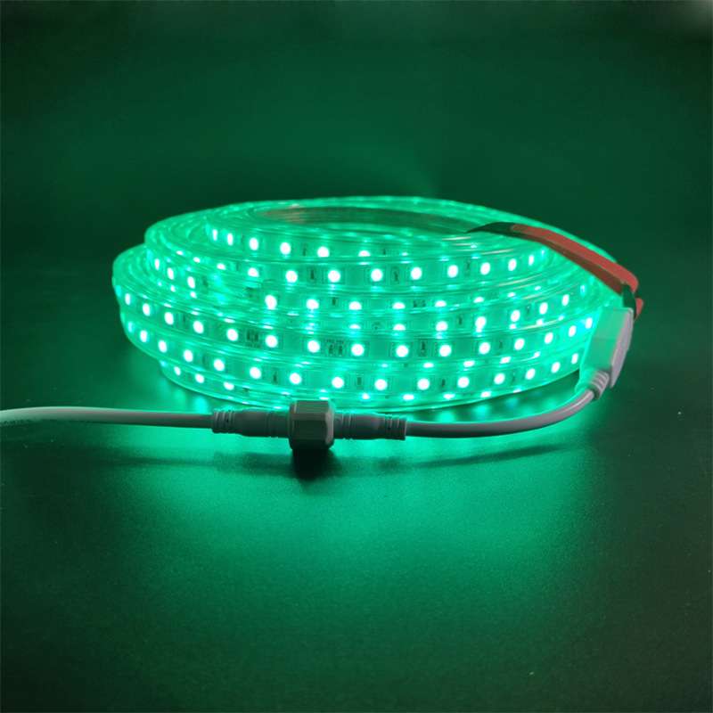 厂家直销110v灯条注塑户外防水公母头跨境RGB套装七彩5050led灯带