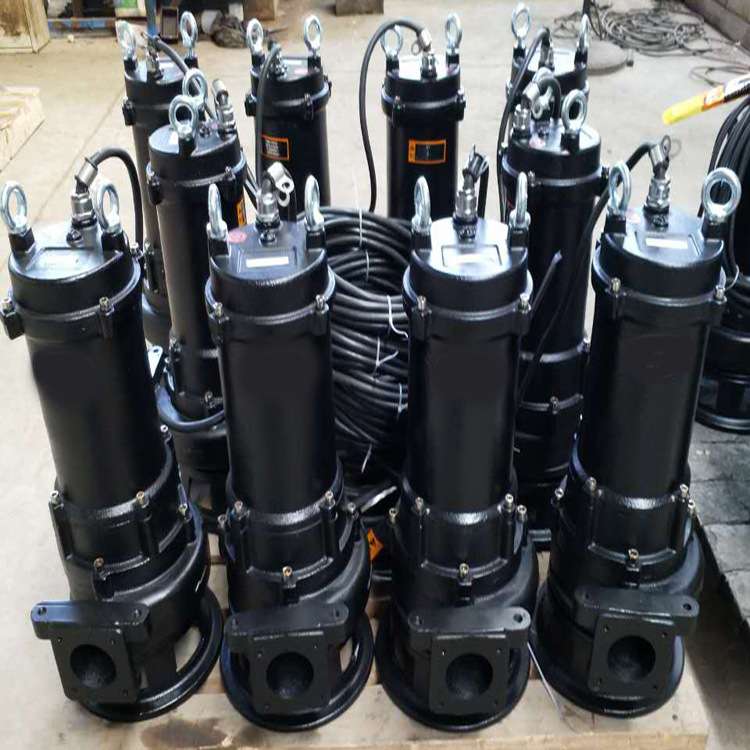 3KW潜水排污泵 WQR20-22-3污水提升泵 CP220-2M 南京凯普德