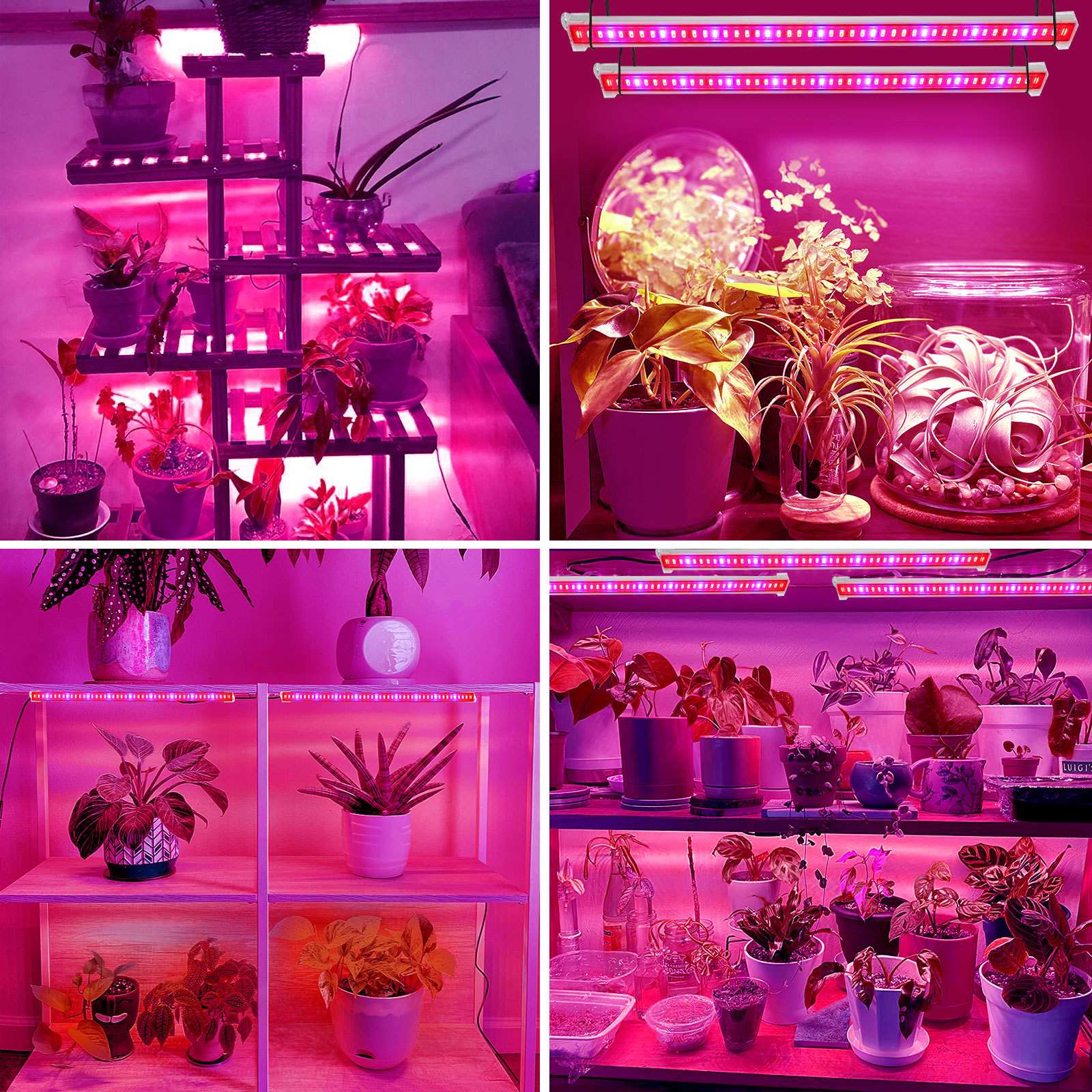 LED植物生长灯条一拖八植物硬灯条架子植物补光灯多肉上色灯