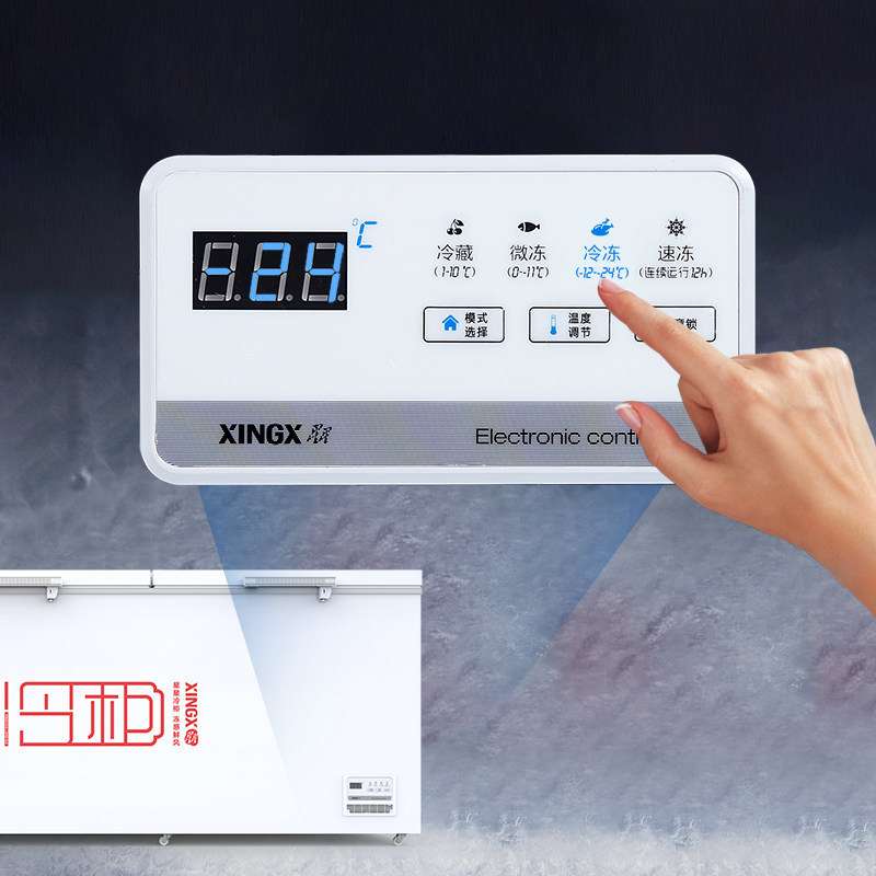 星星（XINGX） 商用大容量冰柜液晶温显商用大冷柜 BD/BC-1088G